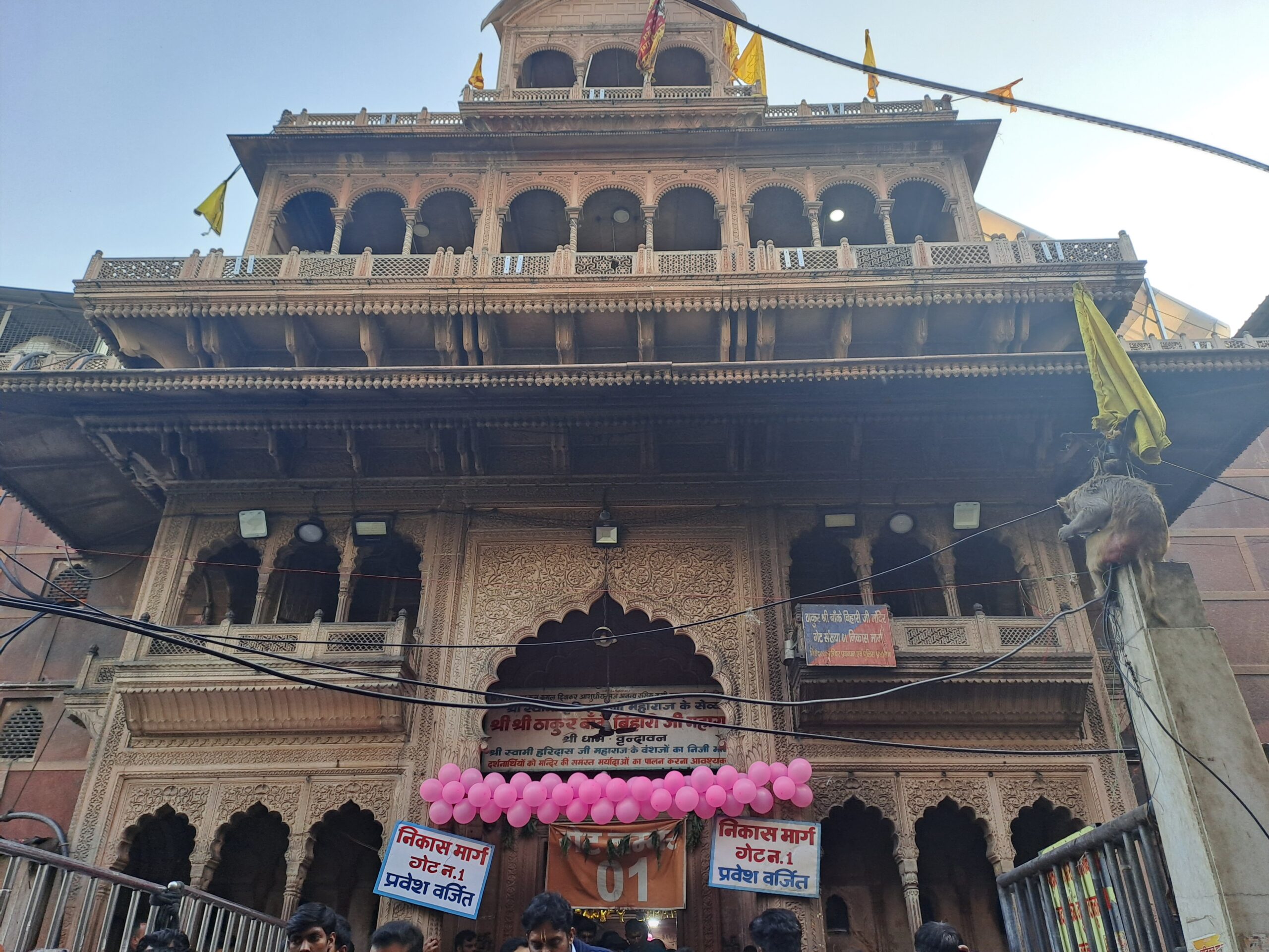 Things to Do in Vrindavan