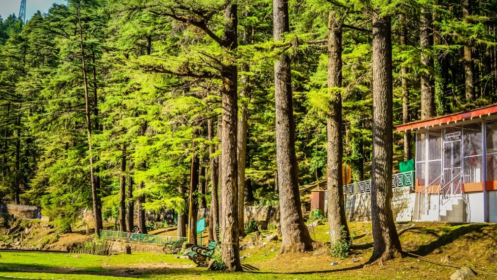 MANALI FROM PATHANKOT
