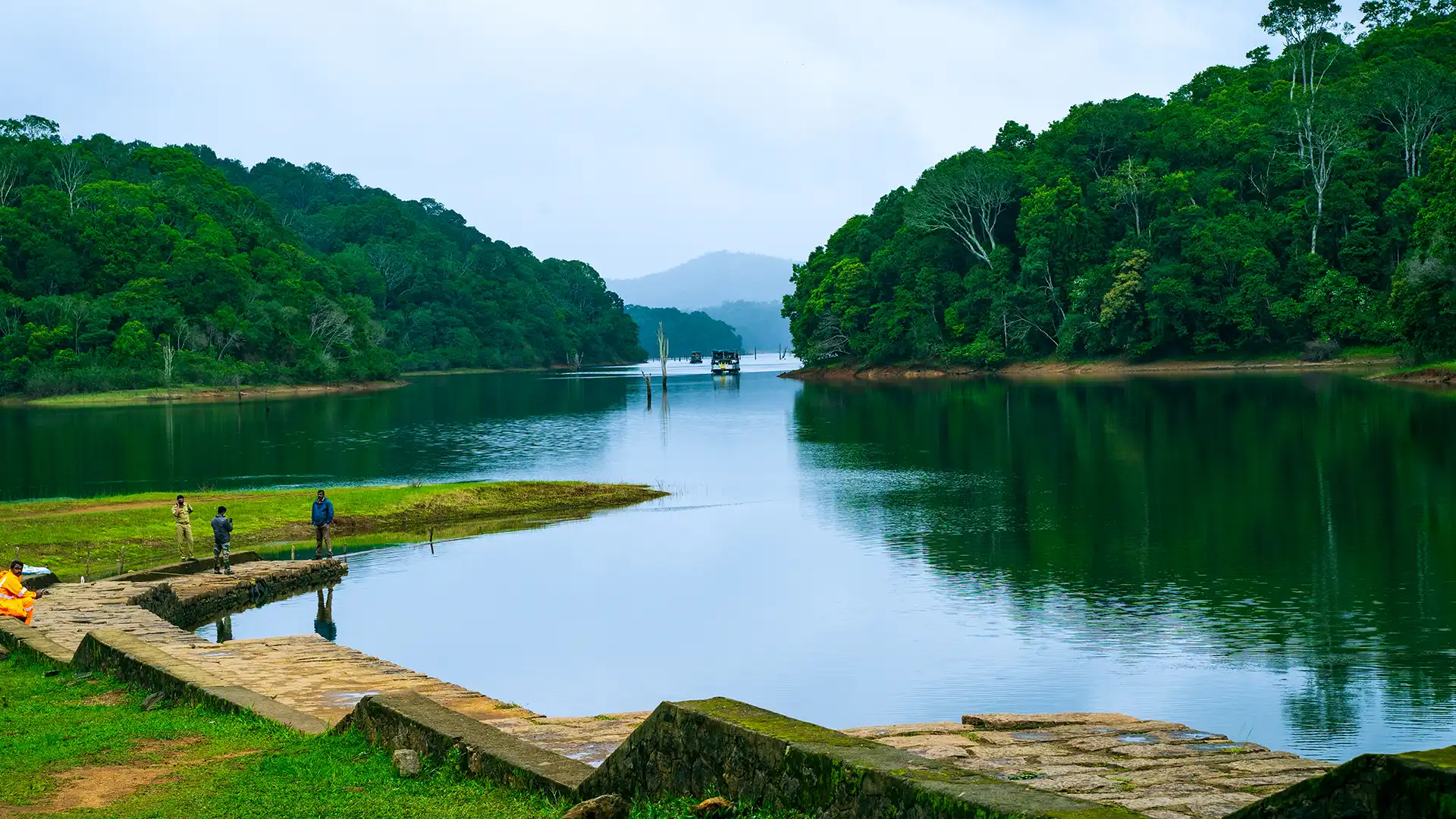 HILLS  OF  KERALA